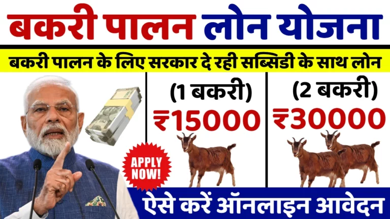 Bakri Palan Loan Yojana 2025
