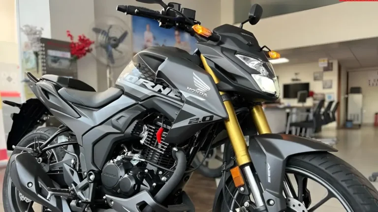 Honda Hornet 2.0